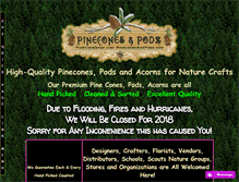 Tablet Screenshot of pineconesandpodz.com